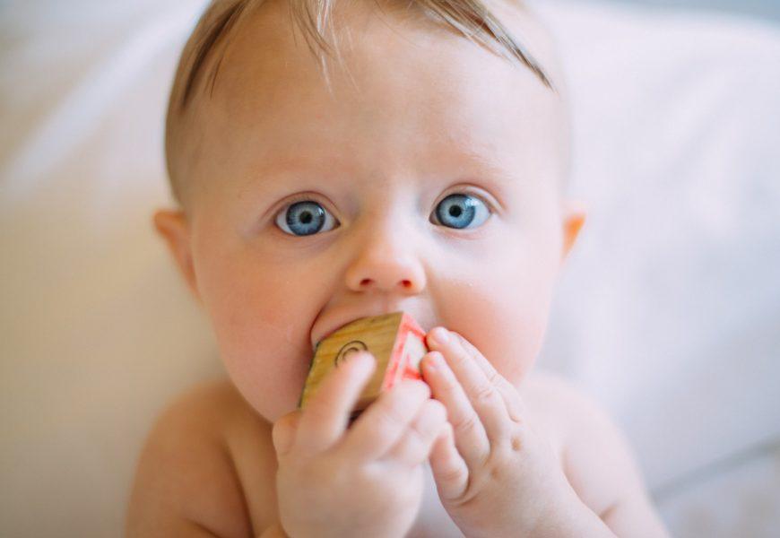 Niemowlę gryzie klocek