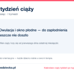 2. tydzień ciąży — owulacja i okno płodne — do zapłodnienia jeszcze nie doszło