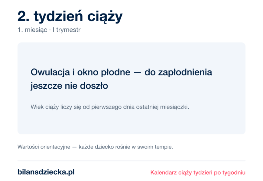 2. tydzień ciąży — owulacja i okno płodne — do zapłodnienia jeszcze nie doszło