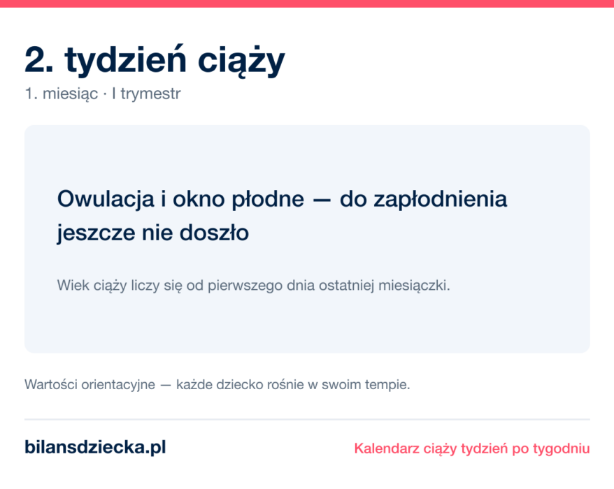 2. tydzień ciąży — owulacja i okno płodne — do zapłodnienia jeszcze nie doszło