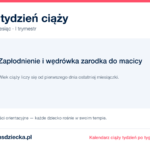 3. tydzień ciąży — zapłodnienie i wędrówka zarodka do macicy