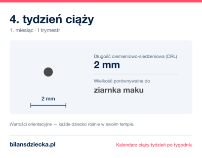 4. tydzień ciąży — dziecko mierzy 2 mm, wielkość porównywalna do ziarnka maku