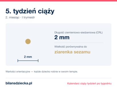 5. tydzień ciąży — dziecko mierzy 2 mm, wielkość porównywalna do ziarenka sezamu