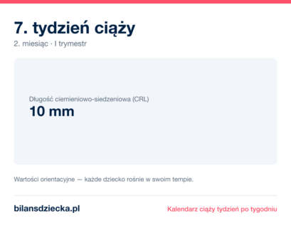 7. tydzień ciąży — dziecko mierzy 10 mm