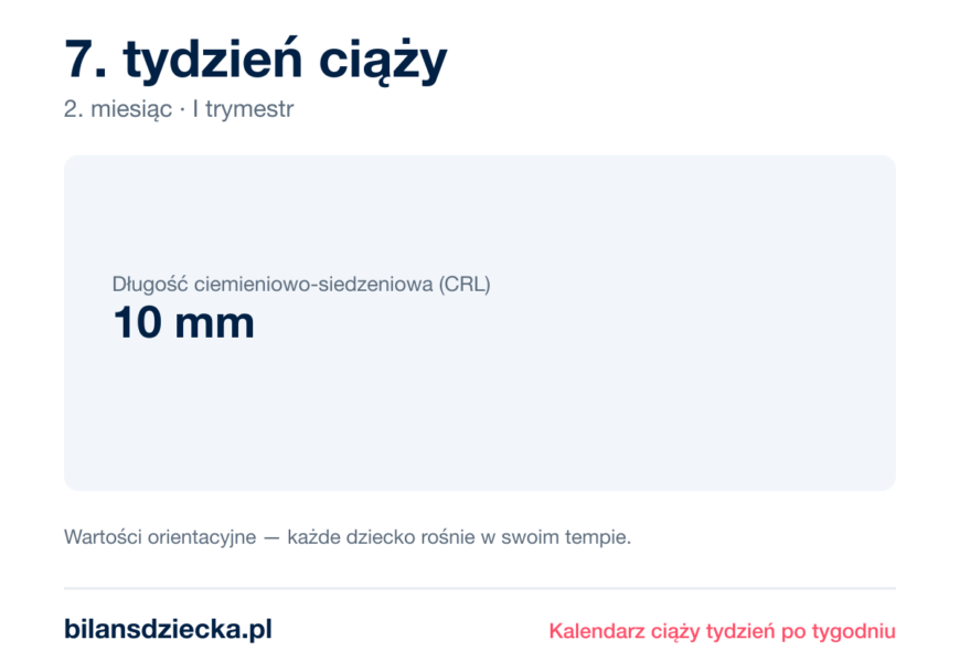 7. tydzień ciąży — dziecko mierzy 10 mm
