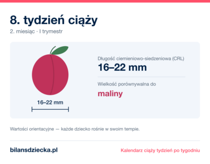8. tydzień ciąży — dziecko mierzy 16–22 mm, wielkość porównywalna do maliny