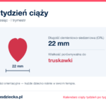 9. tydzień ciąży — dziecko mierzy 22 mm, wielkość porównywalna do truskawki
