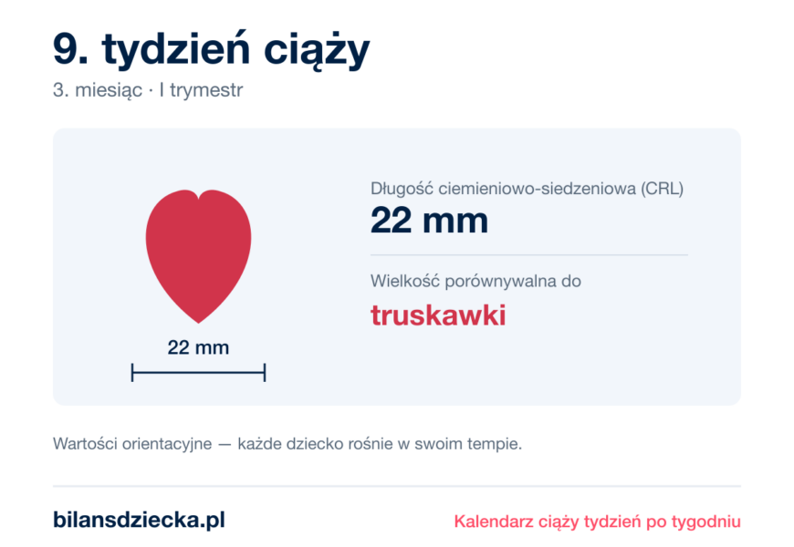 9. tydzień ciąży — dziecko mierzy 22 mm, wielkość porównywalna do truskawki