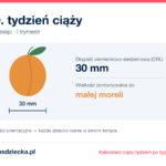 10. tydzień ciąży — dziecko mierzy 30 mm, wielkość porównywalna do małej moreli