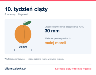 10. tydzień ciąży — dziecko mierzy 30 mm, wielkość porównywalna do małej moreli