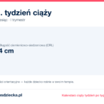 11. tydzień ciąży — dziecko mierzy 4 cm