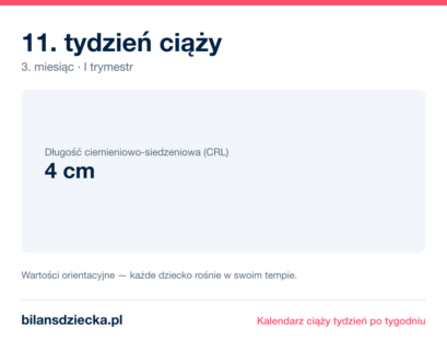 11. tydzień ciąży — dziecko mierzy 4 cm
