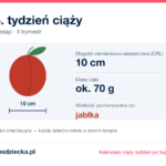 15. tydzień ciąży — dziecko mierzy 10 cm, waży ok. 70 g, wielkość porównywalna do jabłka