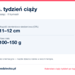 16. tydzień ciąży — dziecko mierzy 11–12 cm, waży 100–150 g