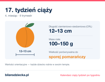 17. tydzień ciąży — dziecko mierzy 12–13 cm, waży 100–150 g, wielkość porównywalna do sporej pomarańczy