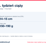 18. tydzień ciąży — dziecko mierzy 14–15 cm, waży 150–190 g