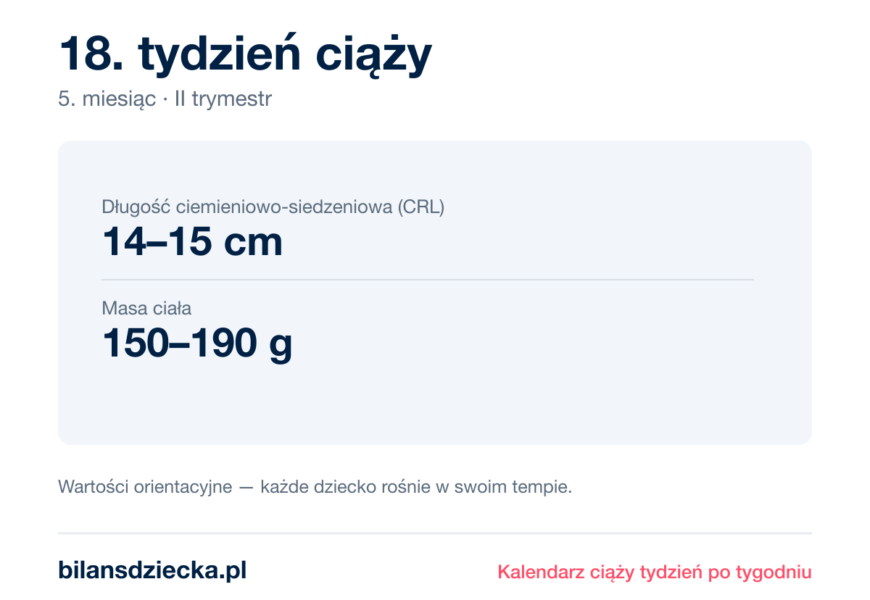 18. tydzień ciąży — dziecko mierzy 14–15 cm, waży 150–190 g