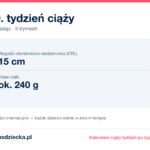 19. tydzień ciąży — dziecko mierzy 15 cm, waży ok. 240 g