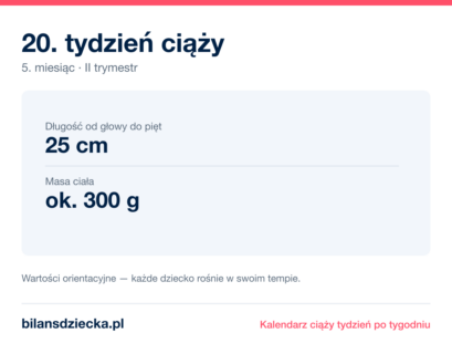 20. tydzień ciąży — dziecko mierzy 25 cm, waży ok. 300 g