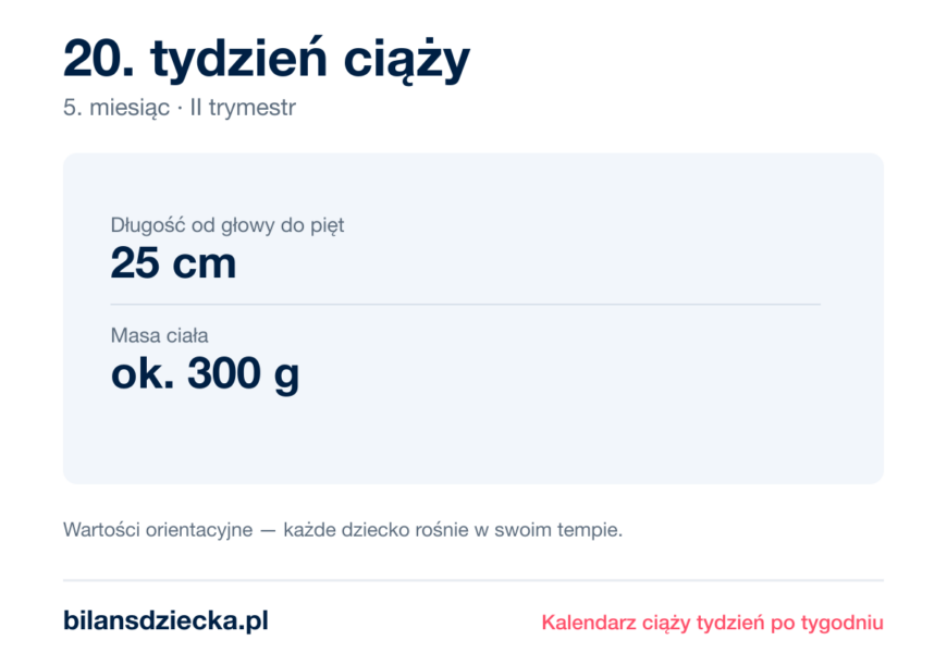 20. tydzień ciąży — dziecko mierzy 25 cm, waży ok. 300 g