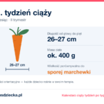21. tydzień ciąży — dziecko mierzy 26–27 cm, waży ok. 400 g, wielkość porównywalna do sporej marchewki