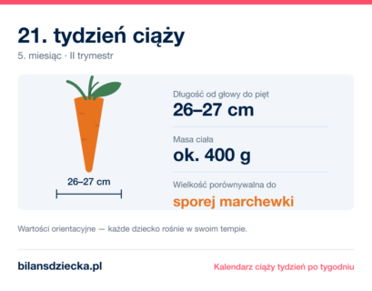21. tydzień ciąży — dziecko mierzy 26–27 cm, waży ok. 400 g, wielkość porównywalna do sporej marchewki