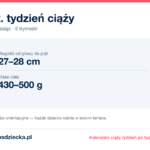 22. tydzień ciąży — dziecko mierzy 27–28 cm, waży 430–500 g