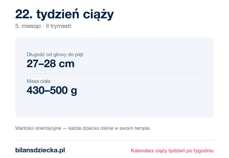 22. tydzień ciąży — dziecko mierzy 27–28 cm, waży 430–500 g