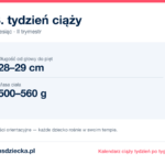 23. tydzień ciąży — dziecko mierzy 28–29 cm, waży 500–560 g