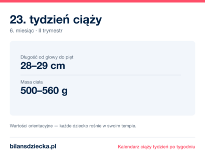 23. tydzień ciąży — dziecko mierzy 28–29 cm, waży 500–560 g