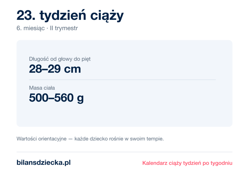 23. tydzień ciąży — dziecko mierzy 28–29 cm, waży 500–560 g