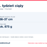 27. tydzień ciąży — dziecko mierzy 36–37 cm, waży ok. 875 g