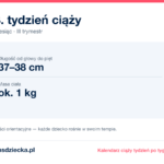 28. tydzień ciąży — dziecko mierzy 37–38 cm, waży ok. 1 kg