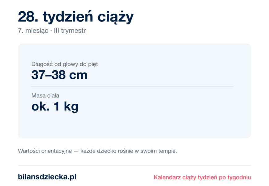 28. tydzień ciąży — dziecko mierzy 37–38 cm, waży ok. 1 kg