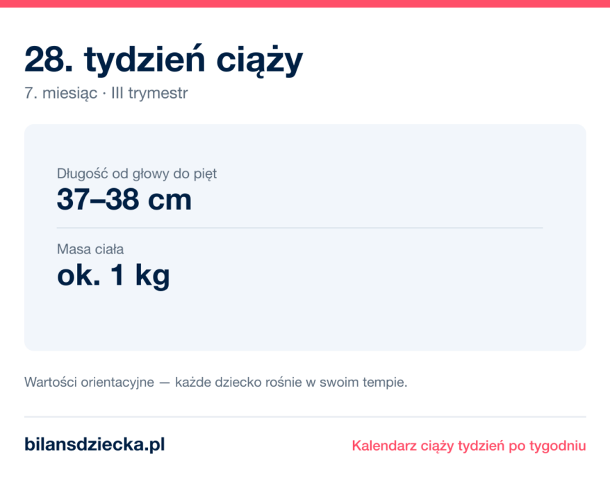 28. tydzień ciąży — dziecko mierzy 37–38 cm, waży ok. 1 kg