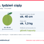 30. tydzień ciąży — dziecko mierzy ok. 40 cm, waży ok. 1,3 kg, wielkość porównywalna do główki kapusty