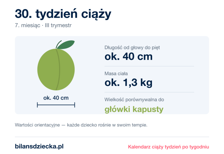 30. tydzień ciąży — dziecko mierzy ok. 40 cm, waży ok. 1,3 kg, wielkość porównywalna do główki kapusty