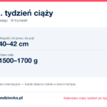 31. tydzień ciąży — dziecko mierzy 40–42 cm, waży 1500–1700 g