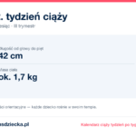 32. tydzień ciąży — dziecko mierzy 42 cm, waży ok. 1,7 kg