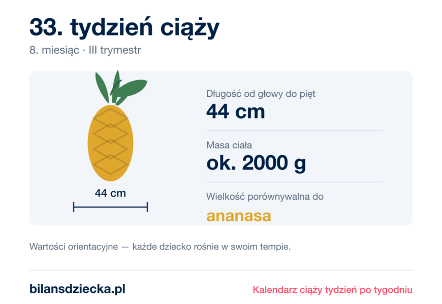 33. tydzień ciąży — dziecko mierzy 44 cm, waży ok. 2000 g, wielkość porównywalna do ananasa